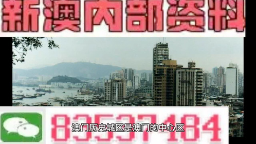 2024新澳门精准资料免费大全-精选解释解析落实,揭秘澳门未来蓝图，2024新澳门精准资料免费大全——精选解释解析落实展望