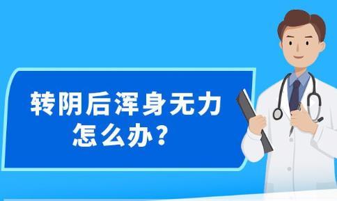 新澳精准资料免费提供最新版-精选解释解析落实,新澳精准资料免费提供最新版，精选解释解析落实的重要性