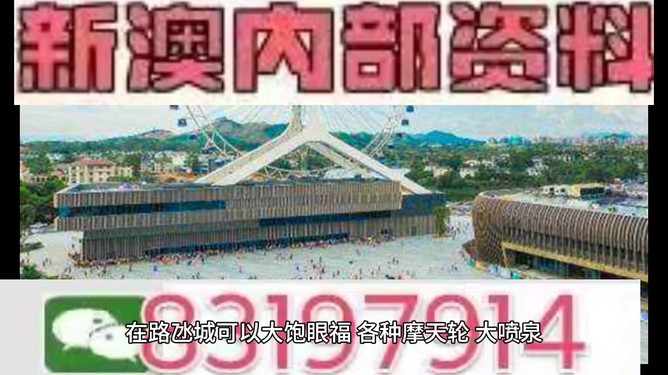 2024澳门今晚必开一肖-精选解释解析落实,澳门今晚必开一肖，解析与落实精选策略