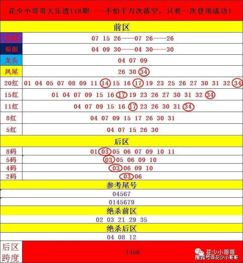 2024年香港港六+彩开奖号码-精选解释解析落实,2024年香港港六彩票开奖号码解析与精选策略落实