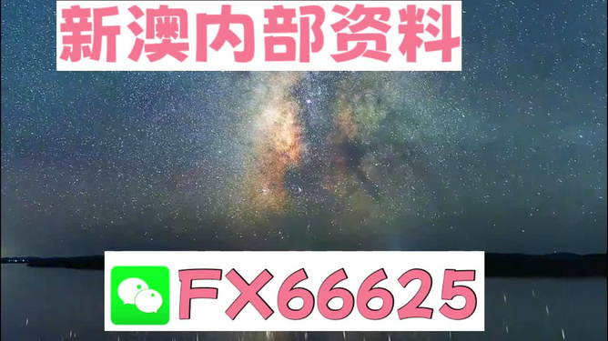 2024新澳天天资料免费大全-精选解释解析落实,探索未来，2024新澳天天资料免费大全——精选解释解析与落实策略