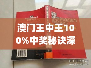 澳门王中王100%期期中-精选解释解析落实,澳门王中王100%期期中——精选解释解析与落实策略