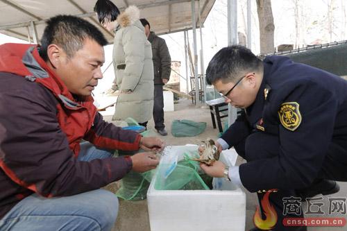 澳门一码一码100准确河南-精选解释解析落实,澳门一码一码精选解析与落实策略，河南地区的精准解释与操作指南