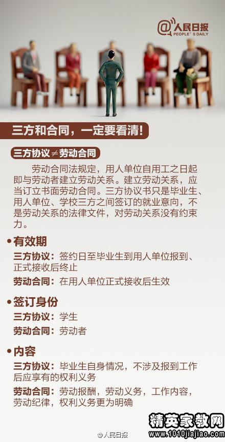 白小姐资料大全+正版资料白小姐奇缘四肖-精选解释解析落实,白小姐资料大全与正版奇缘四肖，精选解析与深入探索