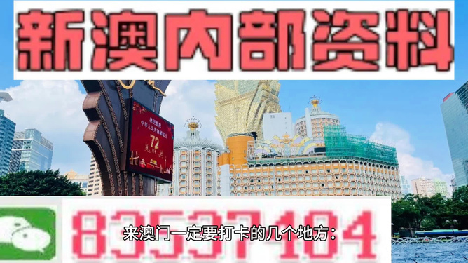 新2024澳门兔费资料-精选解释解析落实,新2024澳门兔费资料精选解析落实详解