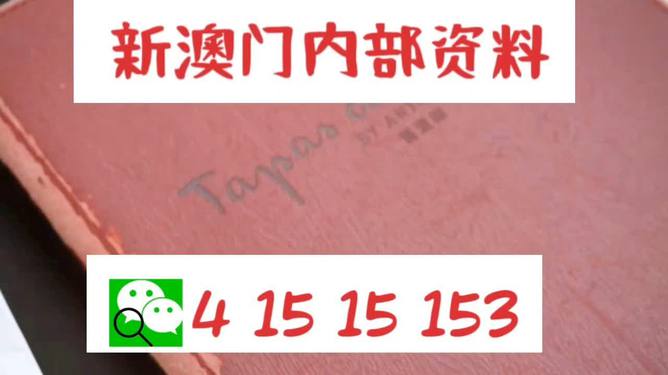 新澳门内部精准资料-精选解释解析落实,新澳门内部精准资料，精选解释解析与落实策略