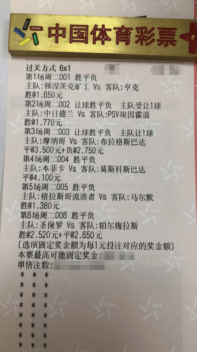 2024新澳门天天六开彩-精选解释解析落实,警惕虚假博彩陷阱，解析新澳门天天六开彩的真相与风险