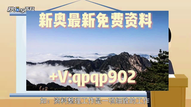 新澳资料大全正版资料2024年免费-精选解释解析落实,新澳资料大全正版资料2024年免费，精选解释解析与落实的重要性