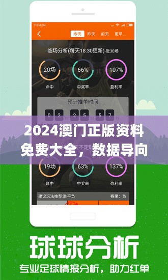 2024年今晚澳门特马-精选解释解析落实,澳门特马，解析未来走向与落实策略（精选解析）