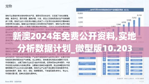 新澳2024年精准资料220期-精选解释解析落实,新澳2024年精准资料220期，精选解释解析与落实策略