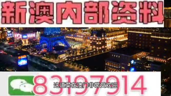 2024新澳资料免费精准17期-精选解释解析落实,关于新澳资料免费精准解析落实的探讨