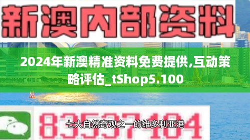 2024新澳精准免费资料-精选解释解析落实,新澳精准免费资料解析与落实策略