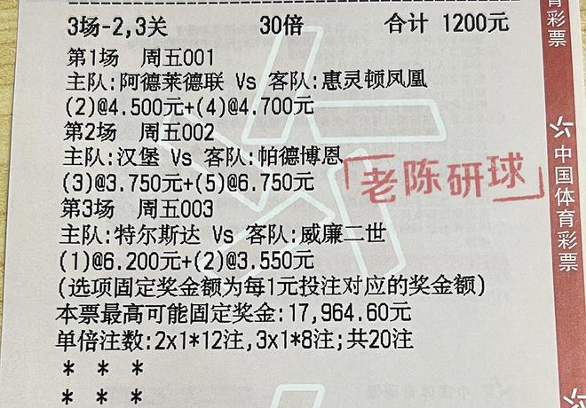 香港今晚开特马 开奖结果66期-精选解释解析落实,香港今晚开特马，第66期开奖结果详解与解析落实